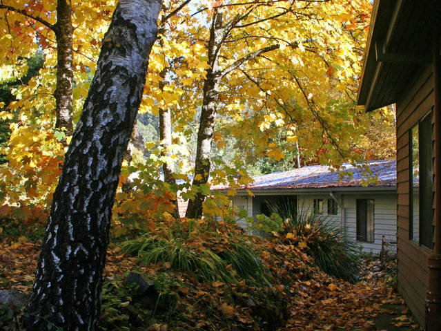 Bogong VIC Accommodation ACT