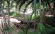 Burwood Bed & Breakfast - thumb 1