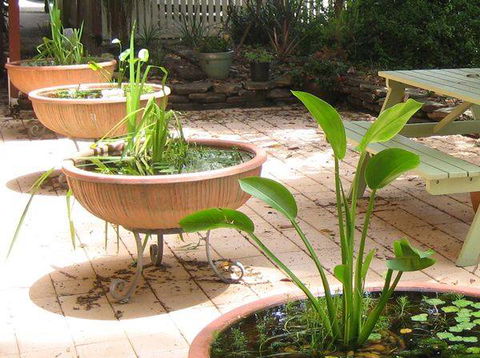Burwood Bed & Breakfast - Accommodation ACT 3