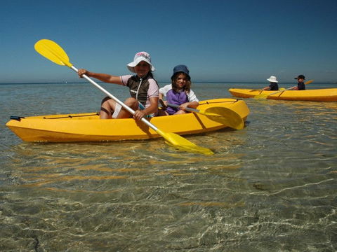 Ceduna Shelly Beach Caravan Park - Accommodation ACT 4