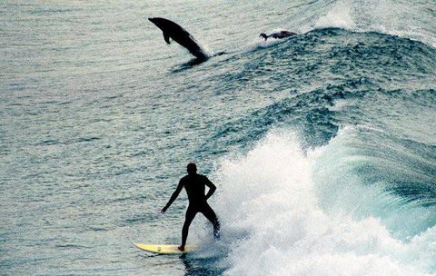 Club Yamba Luxury Hilltop Villas - Accommodation ACT 8