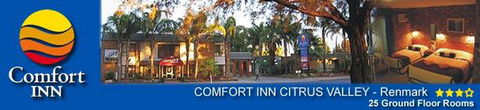 Comfort Inn Citrus Valley - Accommodation ACT 2
