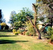 Condamine River Caravan Park - Accommodation ACT