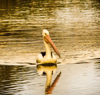 River Shack Rentals - Brenda Park - Accommodation ACT