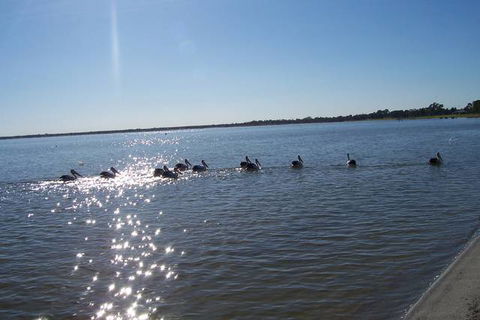 Discovery Holiday Parks - Lake Bonney - Accommodation ACT 1
