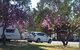 Eidsvold Caravan Park - thumb 1