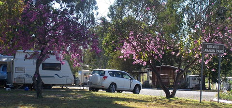 Eidsvold Caravan Park - Accommodation ACT 1