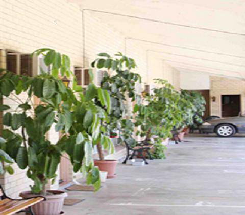 Gunsynd Motor Inn - Accommodation ACT 1