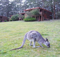 Jenolan Caves Cottages - Accommodation ACT