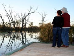 Kingston-On-Murray Caravan Park - Accommodation ACT 2
