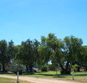 Lockhart Caravan Park - Accommodation ACT