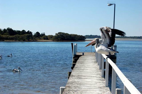 Moby Dick Waterfront Motel - Accommodation ACT 4