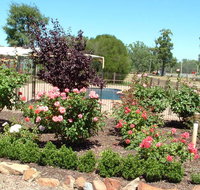 Newell Motor Inn - Accommodation ACT