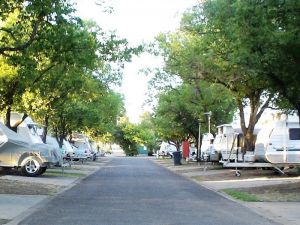 Paradise Tourist Park - Accommodation ACT 6