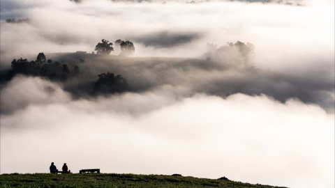 Balingup Heights Hilltop Forest Cottages - Accommodation ACT 9