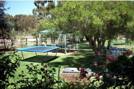 Tarcutta Halfway Motor Inn/Horse Hotel - Accommodation ACT 5