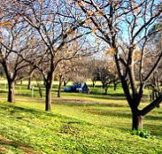 Wellington Caves Caravan Park - Accommodation ACT