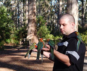 Gloucester Motel - Accommodation ACT 3