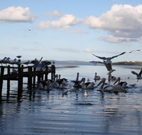 Pelicans At Denmark - Holiday Home - Accommodation ACT