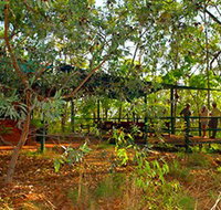 Arnhemland Barramundi Nature Lodge - Accommodation ACT