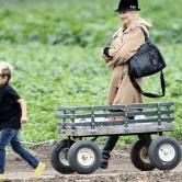 Perth City Farm Organic Markets - Accommodation ACT