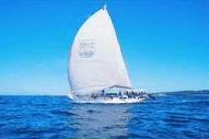 Manly Harbour Village - Accommodation ACT