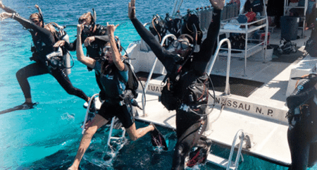 Snorkel Safari Brisbane - Accommodation ACT