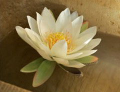 St Georges Natural Health Therapies - Accommodation ACT 3