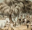 Joshua McClelland Print Room - Accommodation ACT