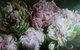 Catherine Asquith Gallery - thumb 1