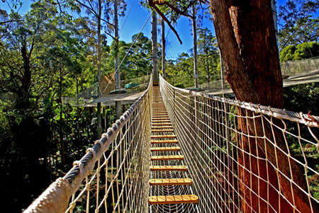 Thunderbird Park - Accommodation ACT 0