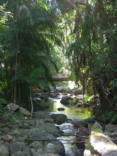 Thunderbird Park - Accommodation ACT 2