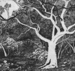 Tacit Contemporary Art - Accommodation ACT