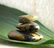 The Nature Of Balance - Accommodation ACT 0