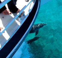 Pelican Charters - Accommodation ACT