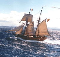 Enterprize - Melbourne's Tall Ship - Accommodation ACT