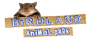 Birdland Animal Park - Accommodation ACT