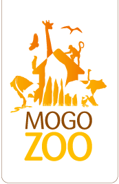 Mogo Zoo - Accommodation ACT