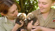 Mogo Zoo - Accommodation ACT 3