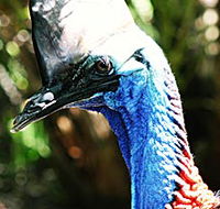 Alma Park Zoo - Accommodation ACT