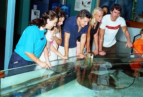 Underwater World - Accommodation ACT 3