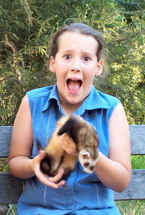 Peel Zoo - Accommodation ACT 1