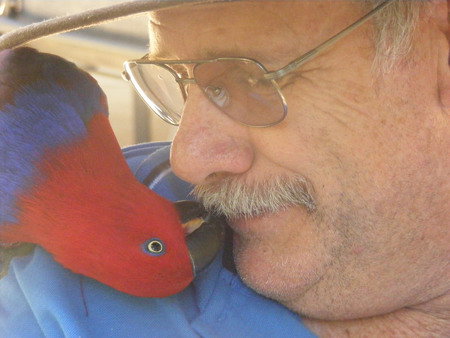 Peel Zoo - Accommodation ACT 3