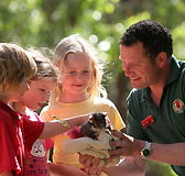 Cleland Wildlife Park - Accommodation ACT