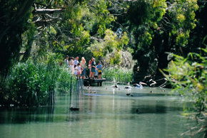 Cleland Wildlife Park - Accommodation ACT 1
