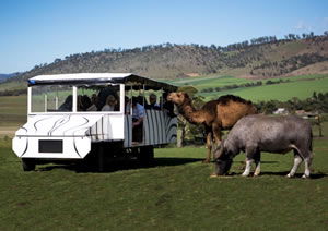 Zoo Doo Wildlife Park - Accommodation ACT 2