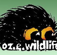 OZe Wildlife - Accommodation ACT
