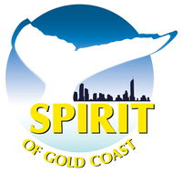 Spirit of Gold Coast Whale Watching - Accommodation ACT