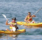 Manly Kayaks - Accommodation ACT