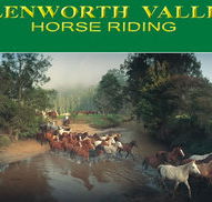 Glenworth Valley Horseriding - Accommodation ACT